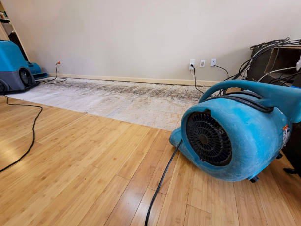 Professional Structural Drying technician working in Davis, OK
